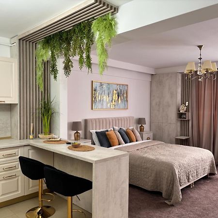 Premium Studio Mv Sibiu Buitenkant foto