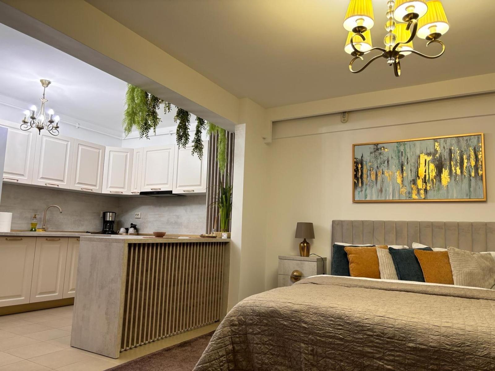 Premium Studio Mv Sibiu Buitenkant foto